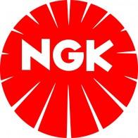 Ngk 8185