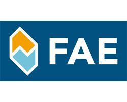 FAE VALVULAS ELECTR.FEB-220299 74216 - CALENTADOR TERMOPLUS