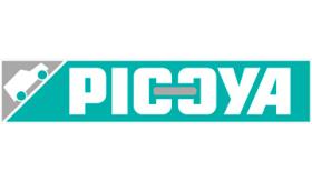 ARTICULOS PICOYA  PICOY