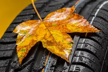 Diez revisiones para poner el vehículo a punto en otoño